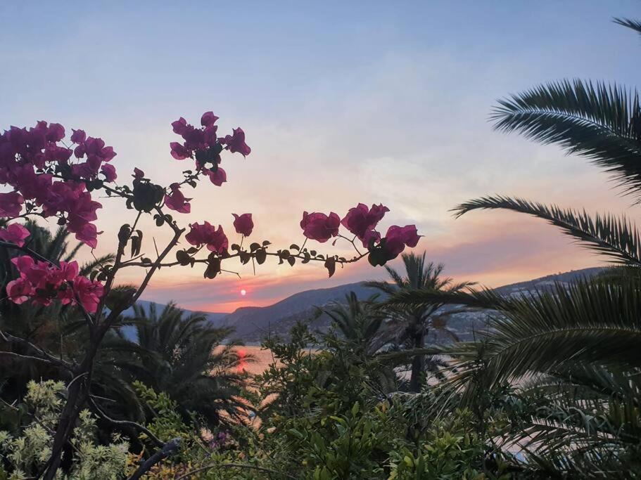 Cactus Garden Kalkan - Club Patara Villas ภายนอก รูปภาพ